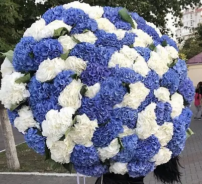 Купить Гортензии Крупные 101 шт Микс в Москве