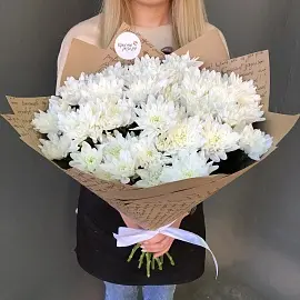 Хризантемы 9 шт Балтика