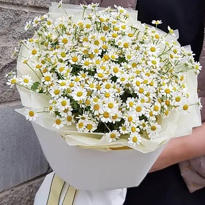 Купить Ромашки 15 шт, в упаковке в Москве