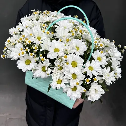 Бакарди и ромашка в сумочке (5+4) арт. 13542
