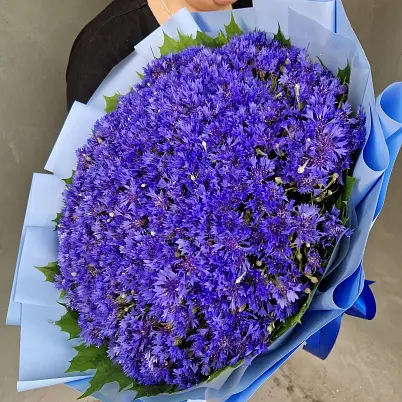 Купить Васильки 1001 шт арт. 13041 GUV80UNIgyt7JvuoeoNIm1 в Москве