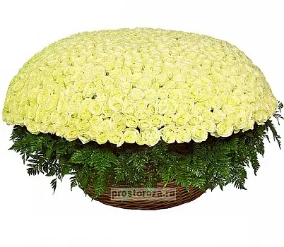 Купить 1001 белая роза (B1321) в Москве