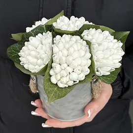 Подснежники 251 шт в ведерке сером 20х15см, h=12см арт. 13662