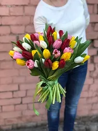 Тюльпаны 51 шт микс