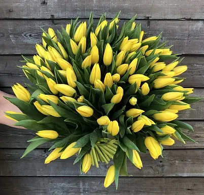 Купить Тюльпаны желтые 15,25,35,51,101 шт на выбор в Москве