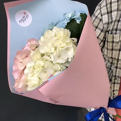 Гортензии Средние 3 шт Микс