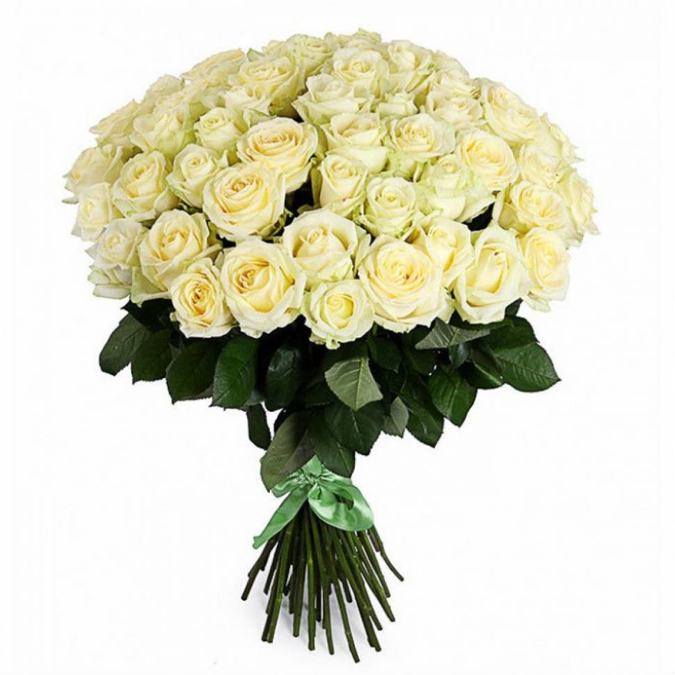 51 роза
