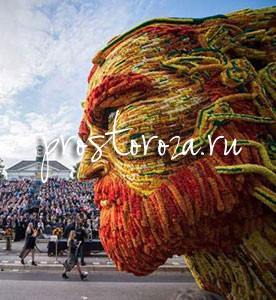 Цветочный парад в Зюндерте посвятили творчеству Ван Гога 
