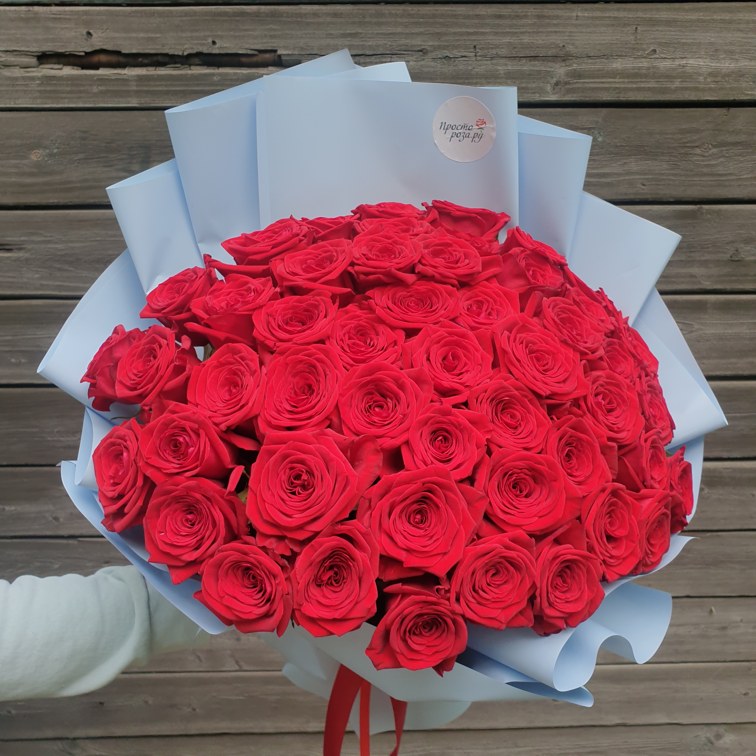 Розы 51 шт красные 50 см в голубой упаковке