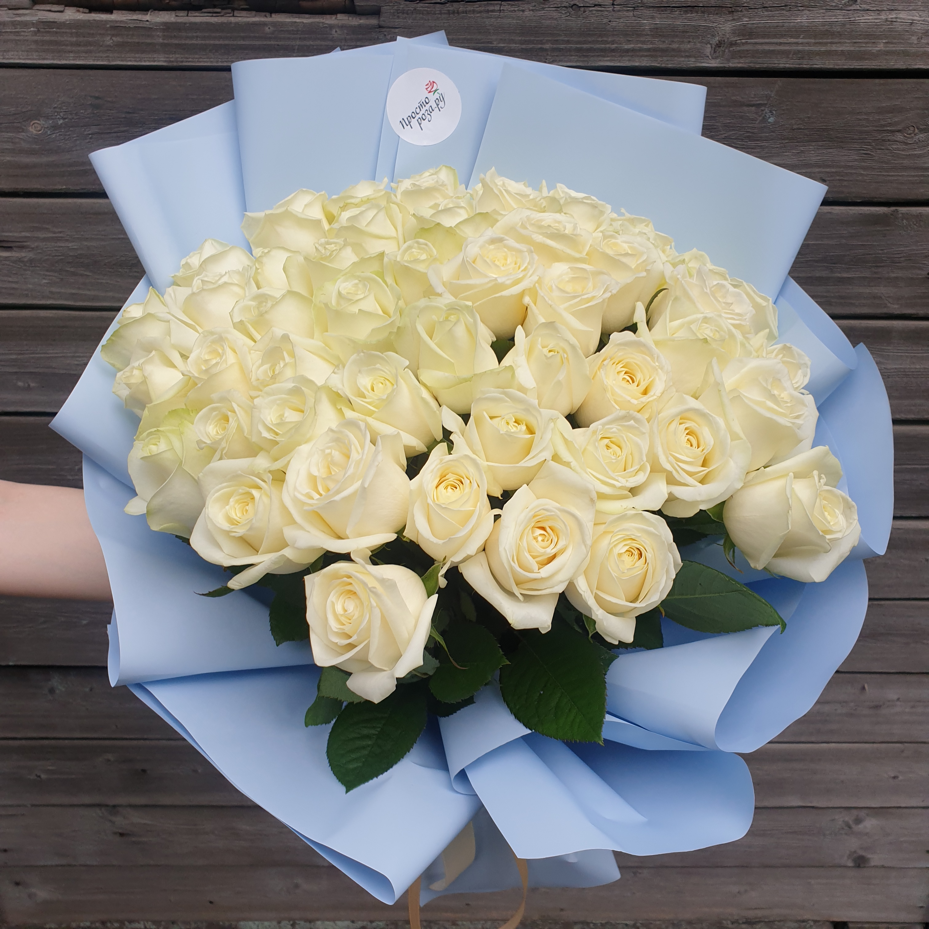 Розы 51 шт белые 50 см в голубой упаковке кругом