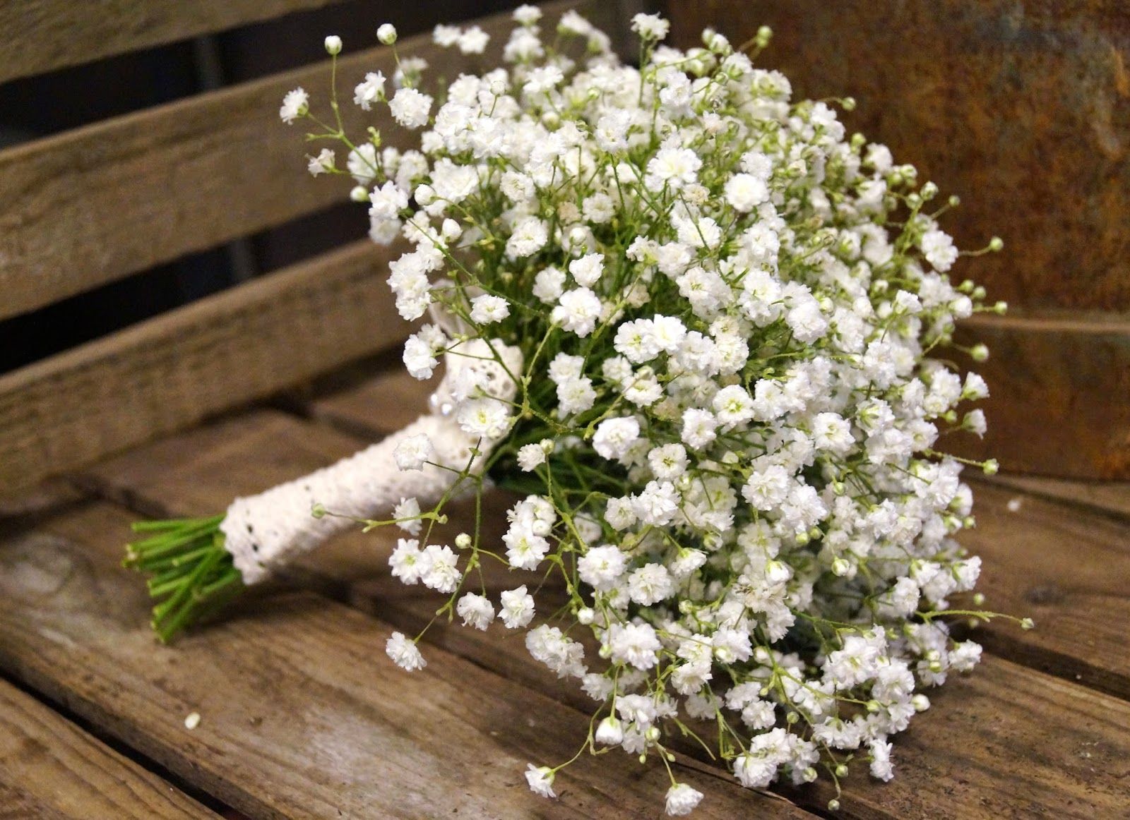 Мелкий Белый Цветок Для Букетов