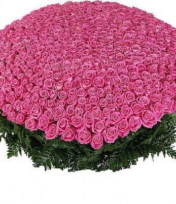Купить 1001 розовая роза (B1289) в Москве