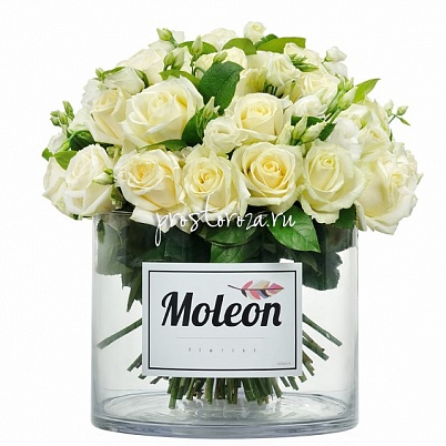 Купить ВИЛЬМЕН в вазе Moleon (S4048) в Москве