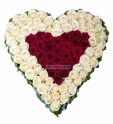 Сердце в сердце из 91 розы (B1279)
