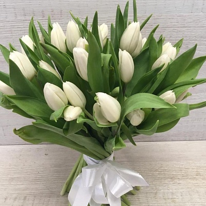 Купить Тюльпаны 25 шт белые в Москве