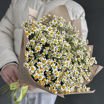 Ромашки 15 шт арт.7309 - Просто роза ру