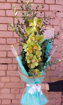 Купить Бест-серия орхидея эвкалипт Green в Москве