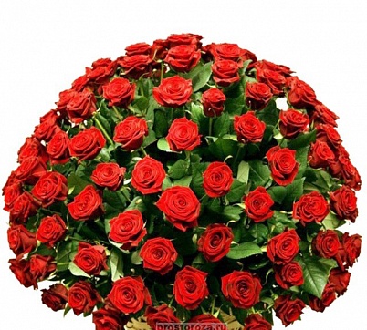 Корзина: 101 красная роза (B1315)