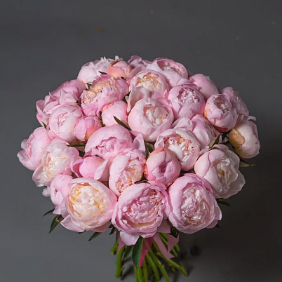 Купить Пионы 31 шт розовые в Москве