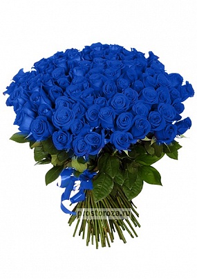 Синие розы 101 шт