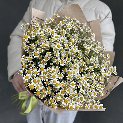 Купить Ромашки 15 шт арт.7309 - Просто роза ру в Москве
