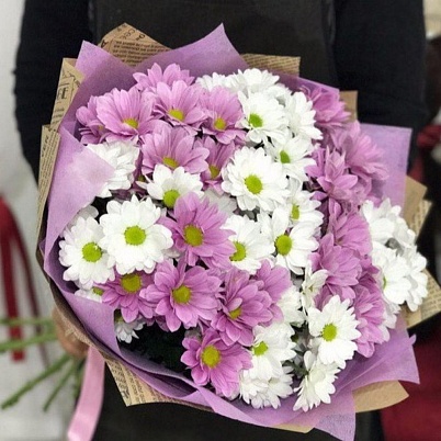 Купить Хризантемы 15 шт кустовые бело-розовые в Москве
