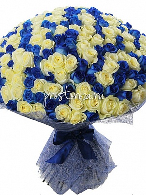 Букет из 201 синей и белой розы (S4033)