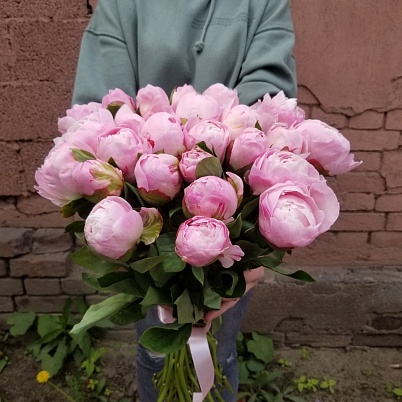 Купить Пионы 25 шт розовые в Москве