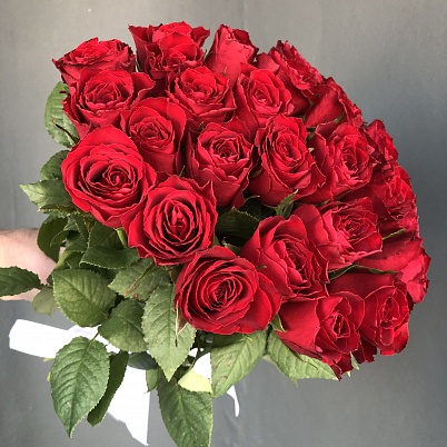 Купить Розы 25 шт 38 см Кения красные (нью) в Москве