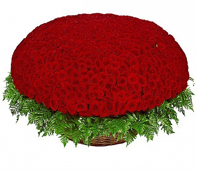 Купить 1001 красная роза (B1318) в Москве