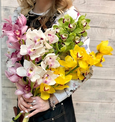 Купить Орхидеи 5 шт микс в Москве