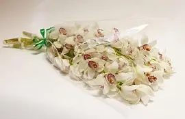 Орхидеи 3 шт белые