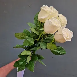 Розы Эквадор 5 шт белые 50 см арт. 13010